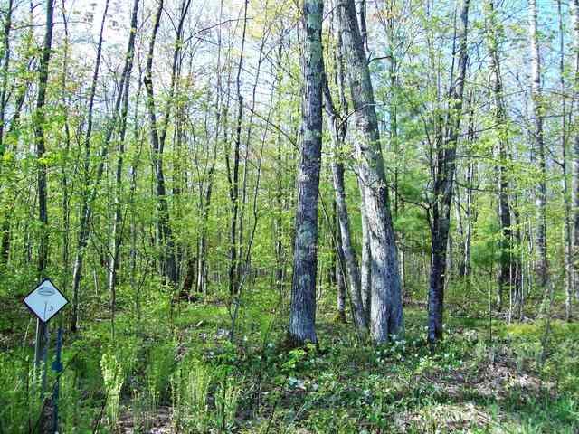 W8600 County Rd MM Greenwood, WI 54437 - Photo 1 of 1