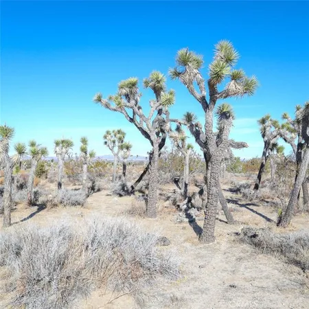 $27,000 | 0 West Ave 12, Llano, CA 93544