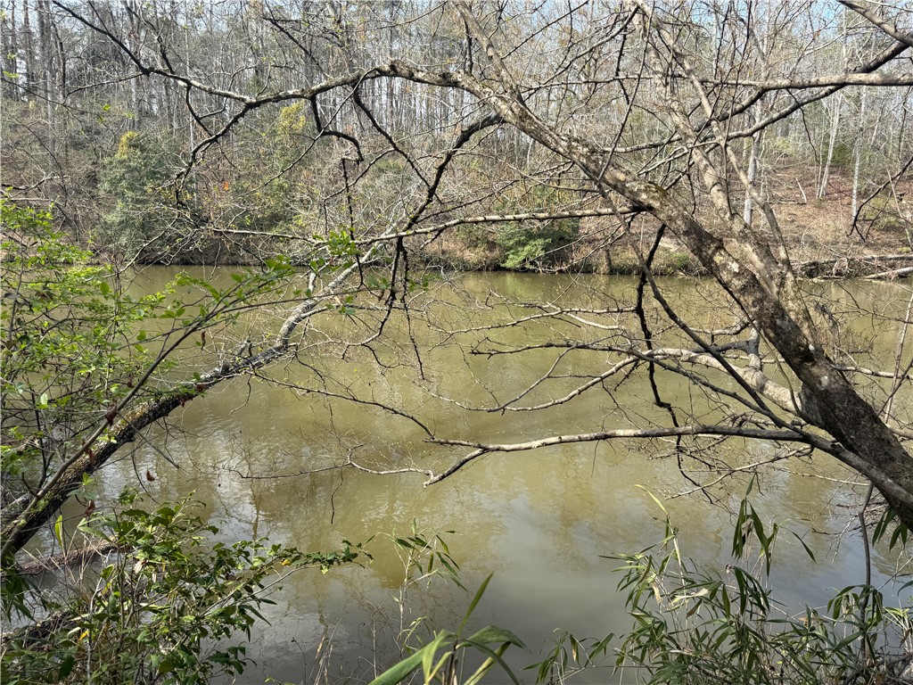 0 Holland Ford Road Pelzer, SC 29669 - Photo 14 of 35