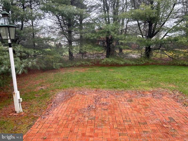 484 Flock Road Hamilton, NJ 08619 - Photo 25 of 25 a view of a backyard with large trees