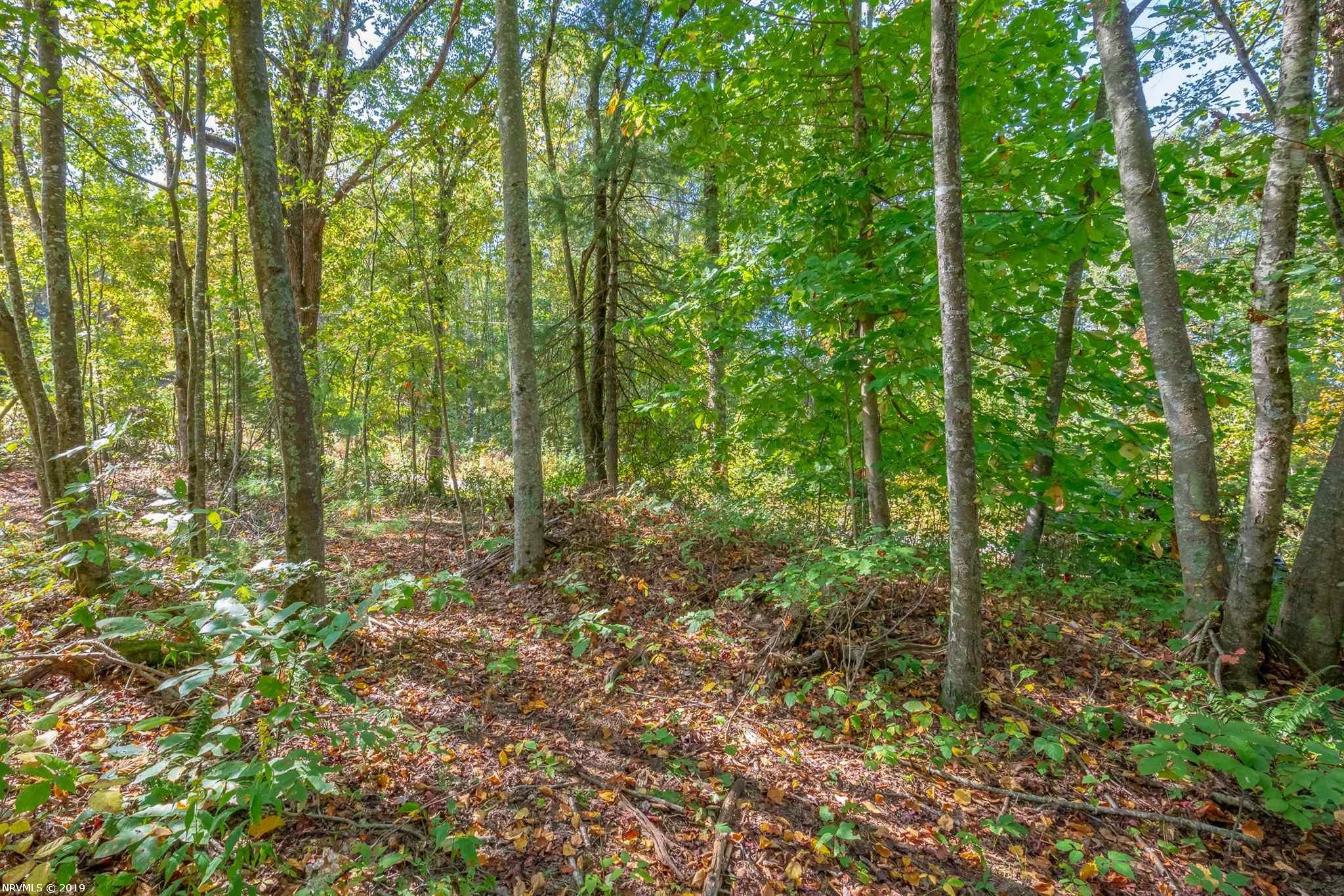 Tbd Carrollview Road Fancy Gap, VA 24328 - Photo 15 of 23 Gallery Image 15
