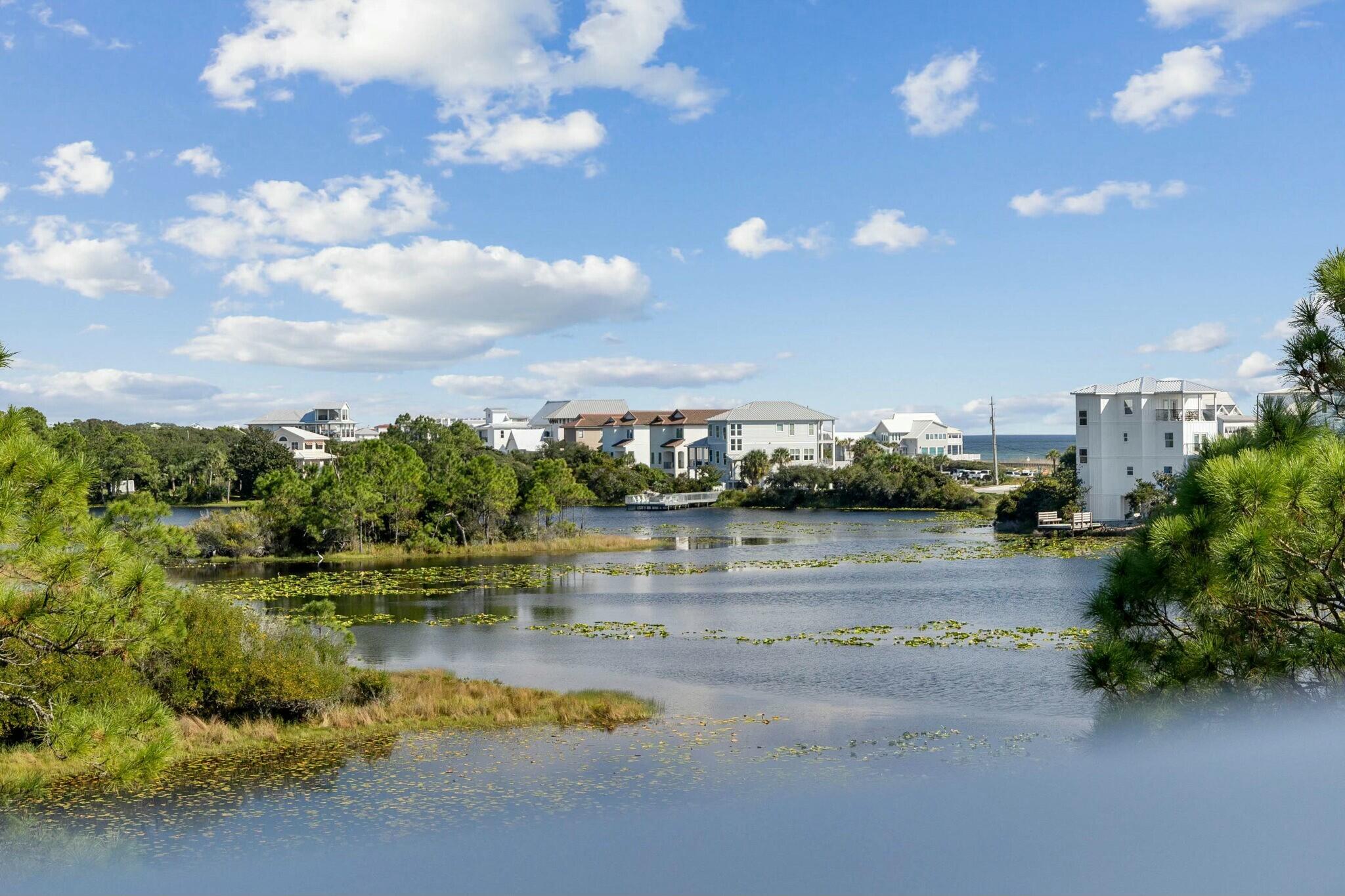 62 Woodward Drive Santa Rosa Beach, FL 32459 - Photo 124 of 167 tempImagetPxyH2