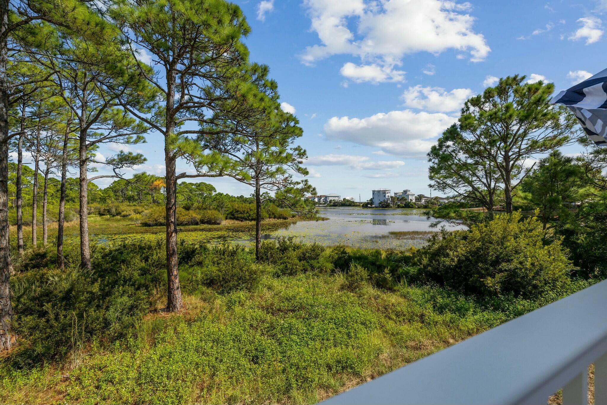 62 Woodward Drive Santa Rosa Beach, FL 32459 - Photo 53 of 167 tempImagePCAYpz