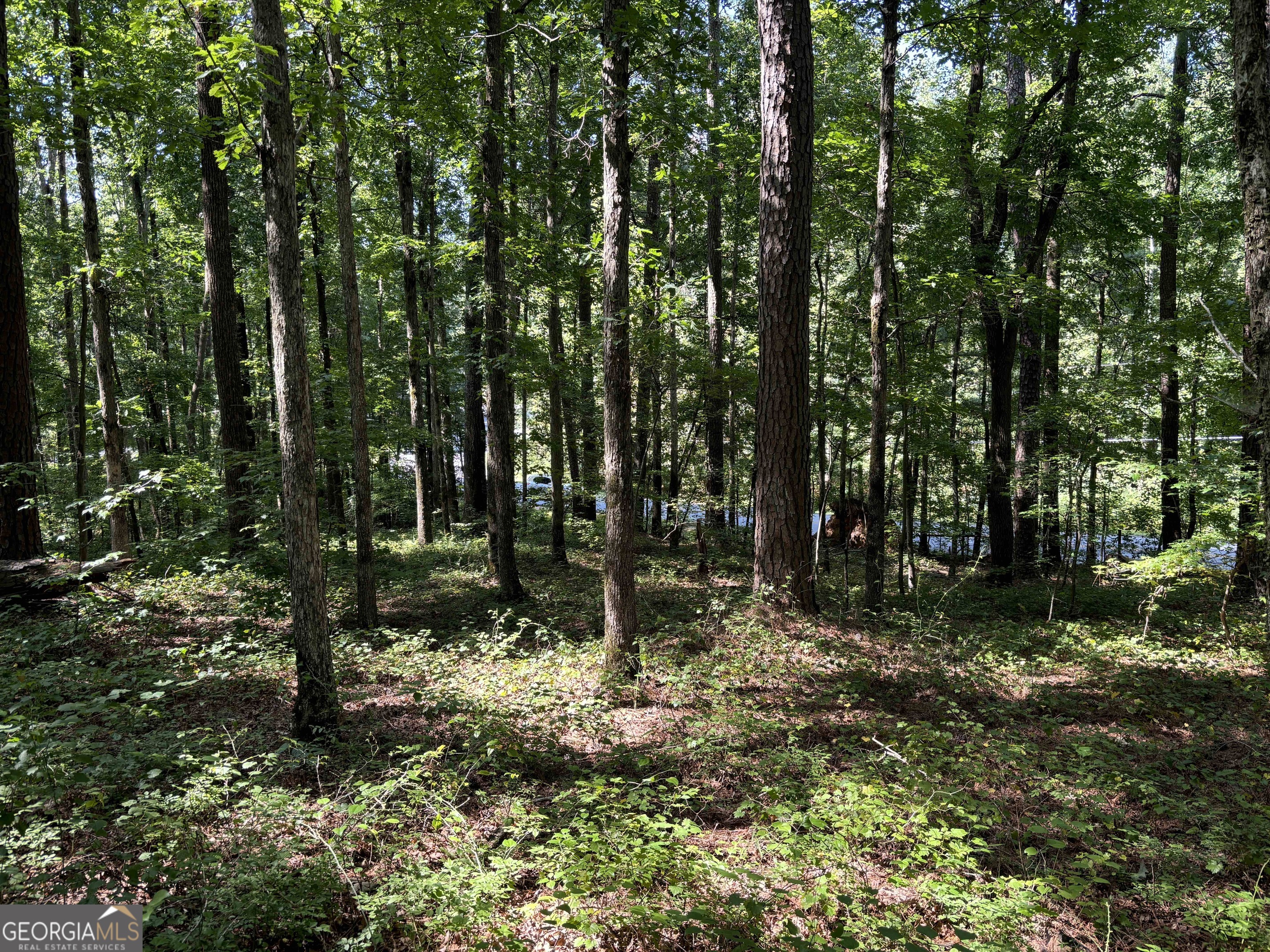 2578 Temple Johnson Road Snellville, GA 30078 - Photo 13 of 18 a backyard of a house with lots of green space