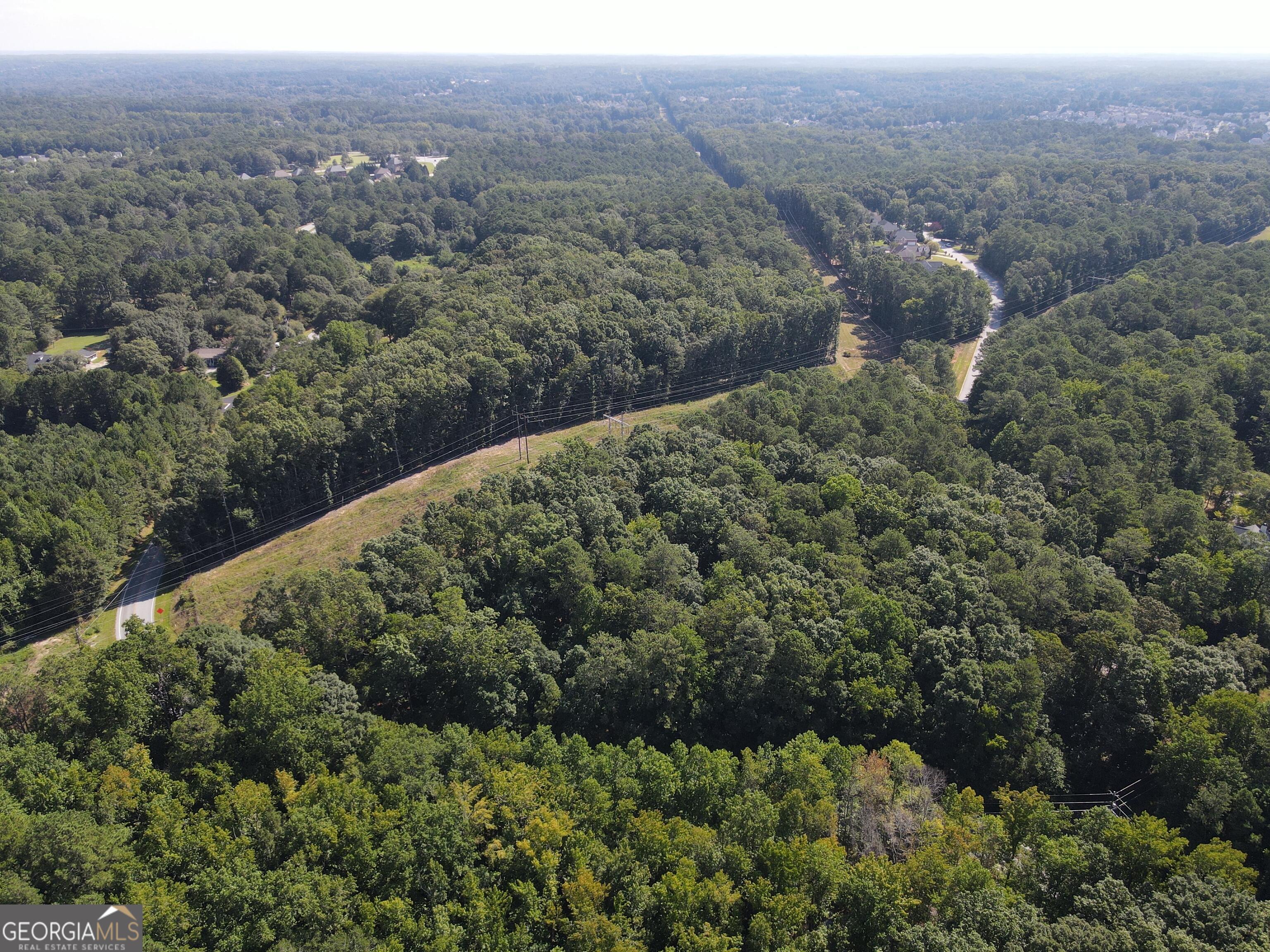 2578 Temple Johnson Road Snellville, GA 30078 - Photo 2 of 18 a view of a forest with a yard