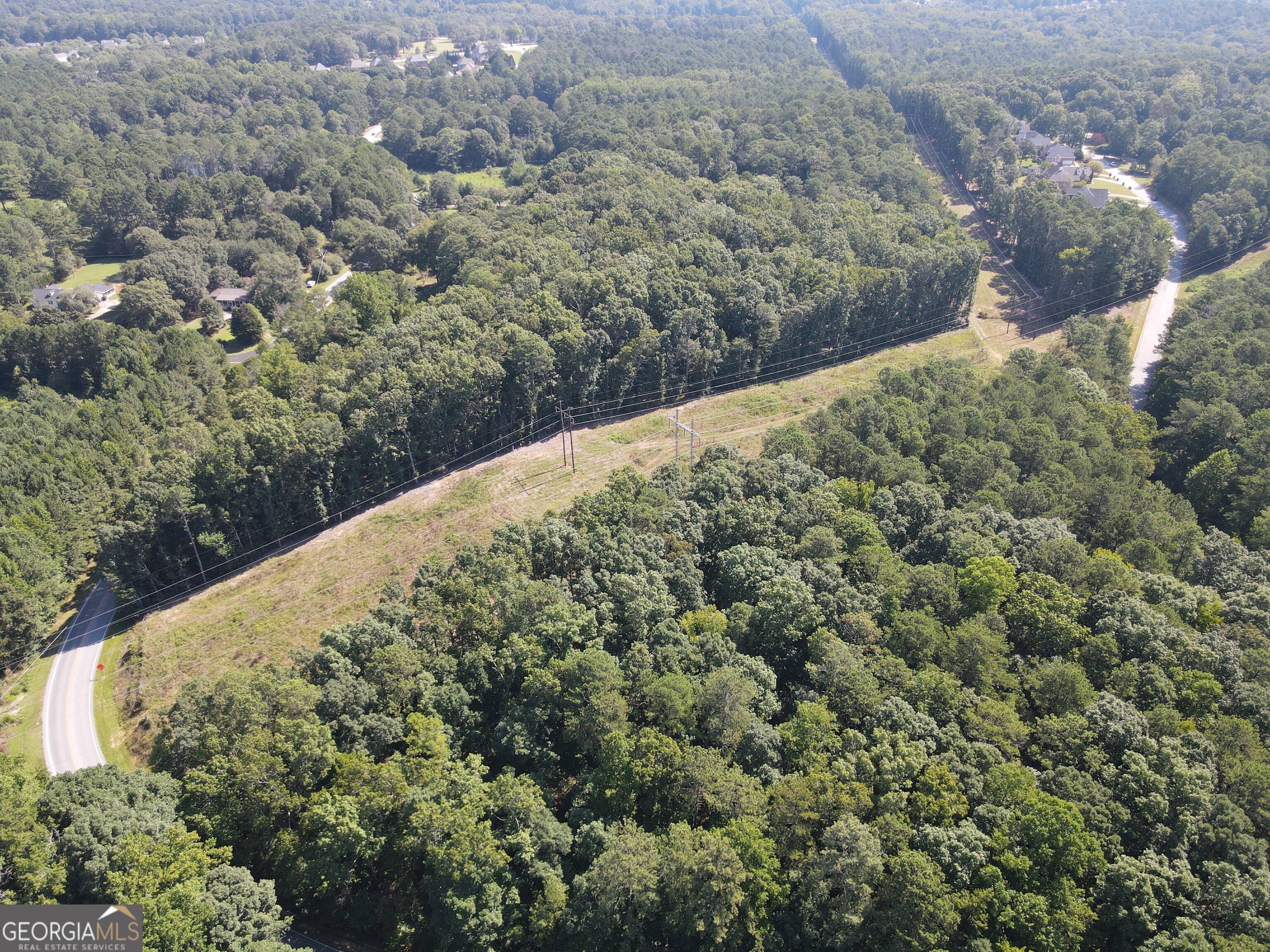 2578 Temple Johnson Road Snellville, GA 30078 - Photo 3 of 18 a view of a dry yard with trees