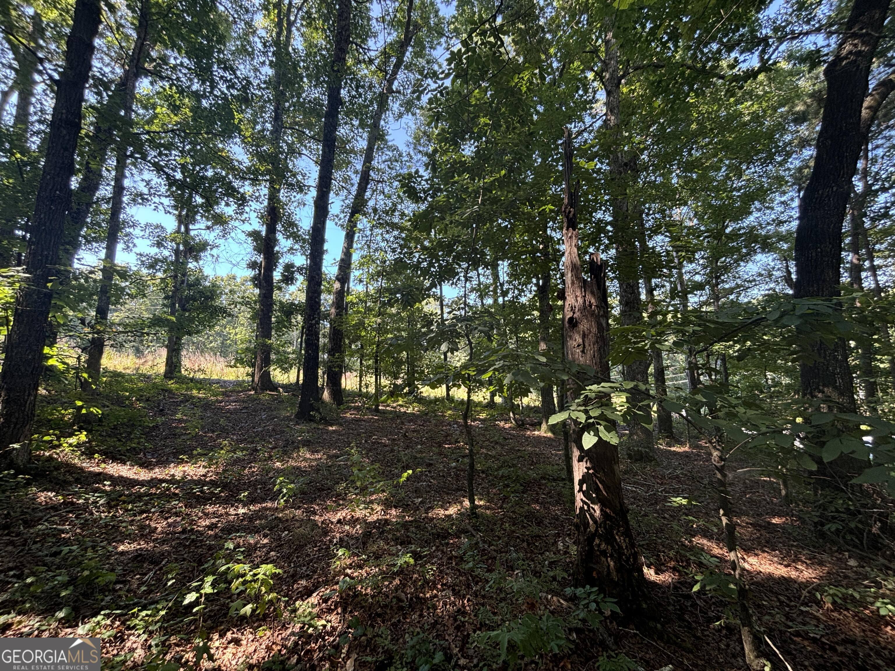 2578 Temple Johnson Road Snellville, GA 30078 - Photo 8 of 18 a backyard of a house with lots of green space
