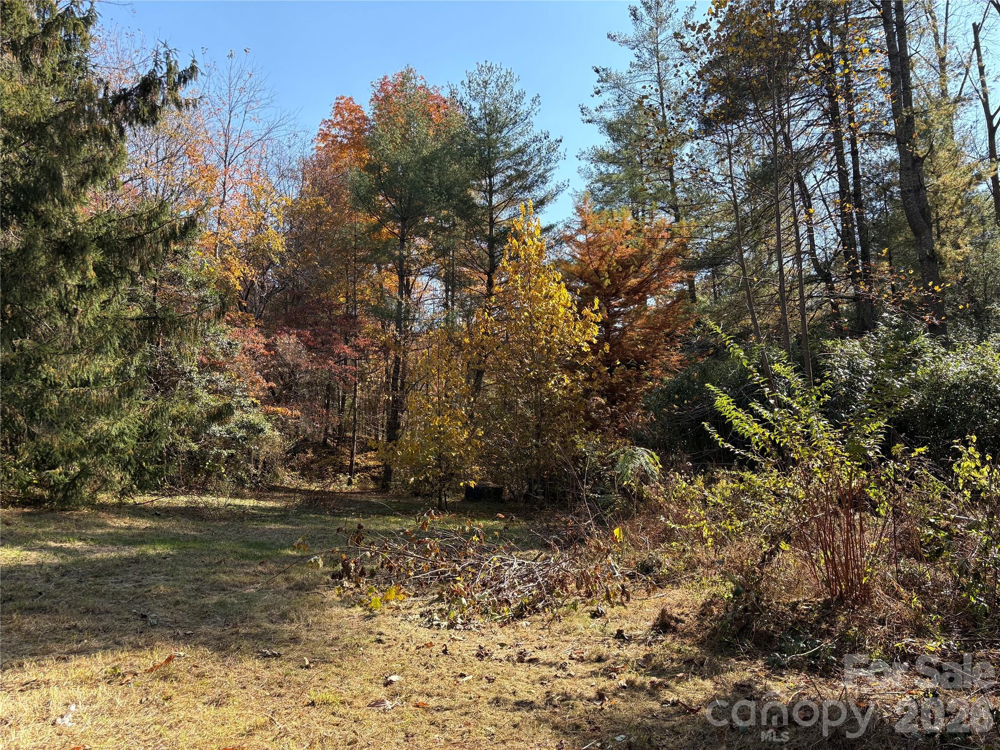 276 Cedar Creek Road Old Fort, NC 28762 - Photo 5 of 23