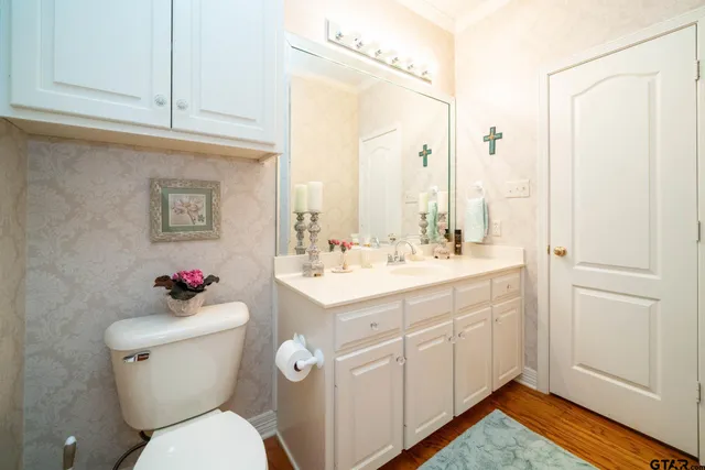 a bathroom with a sink mirror vanity and toilet