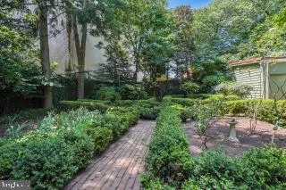 a view of backyard with plants and outdoor seating