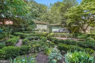 a view of a backyard with plants and a barbeque