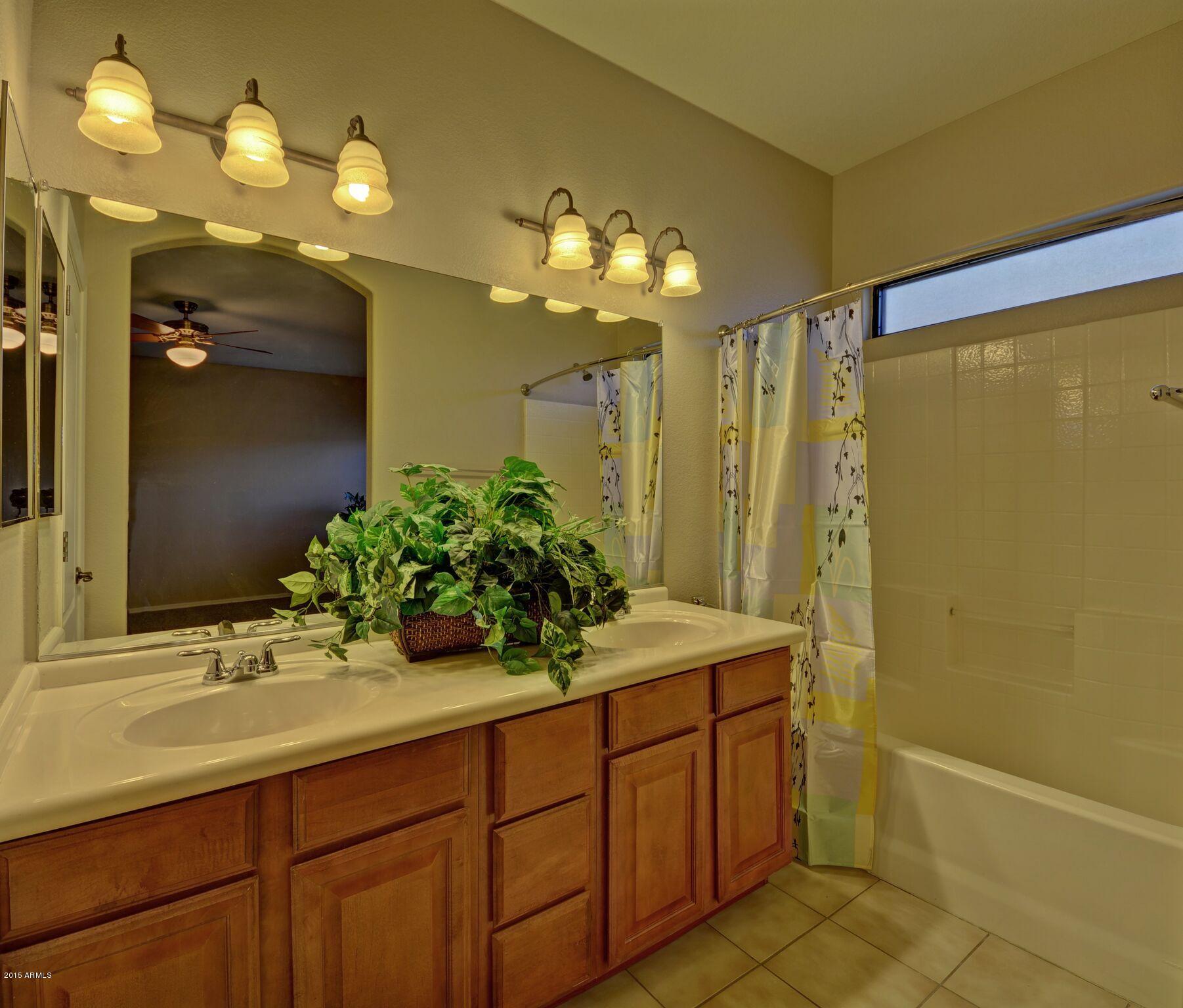 3150 East Beardsley Road, Unit 1028 Phoenix, AZ 85050 - Photo 15 of 29 Master Bath