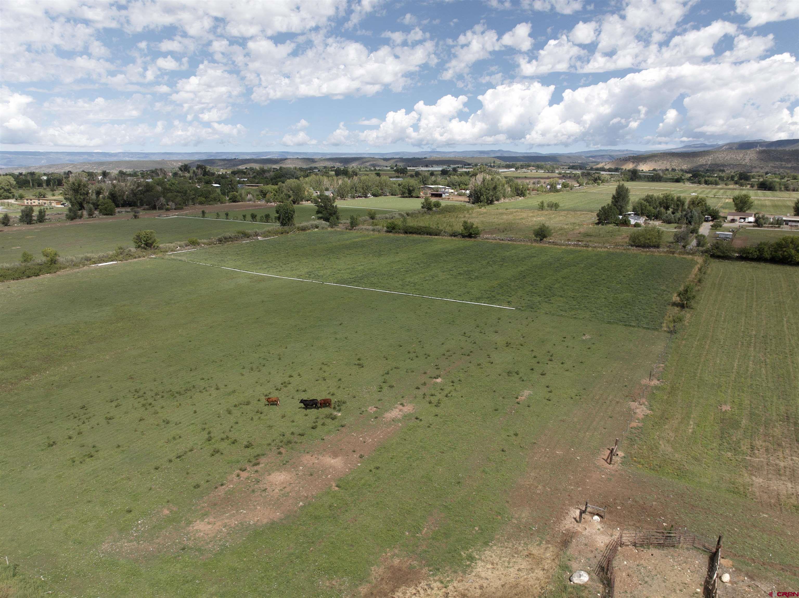 9627 3200th Road Hotchkiss, CO 81419 - Photo 13 of 44