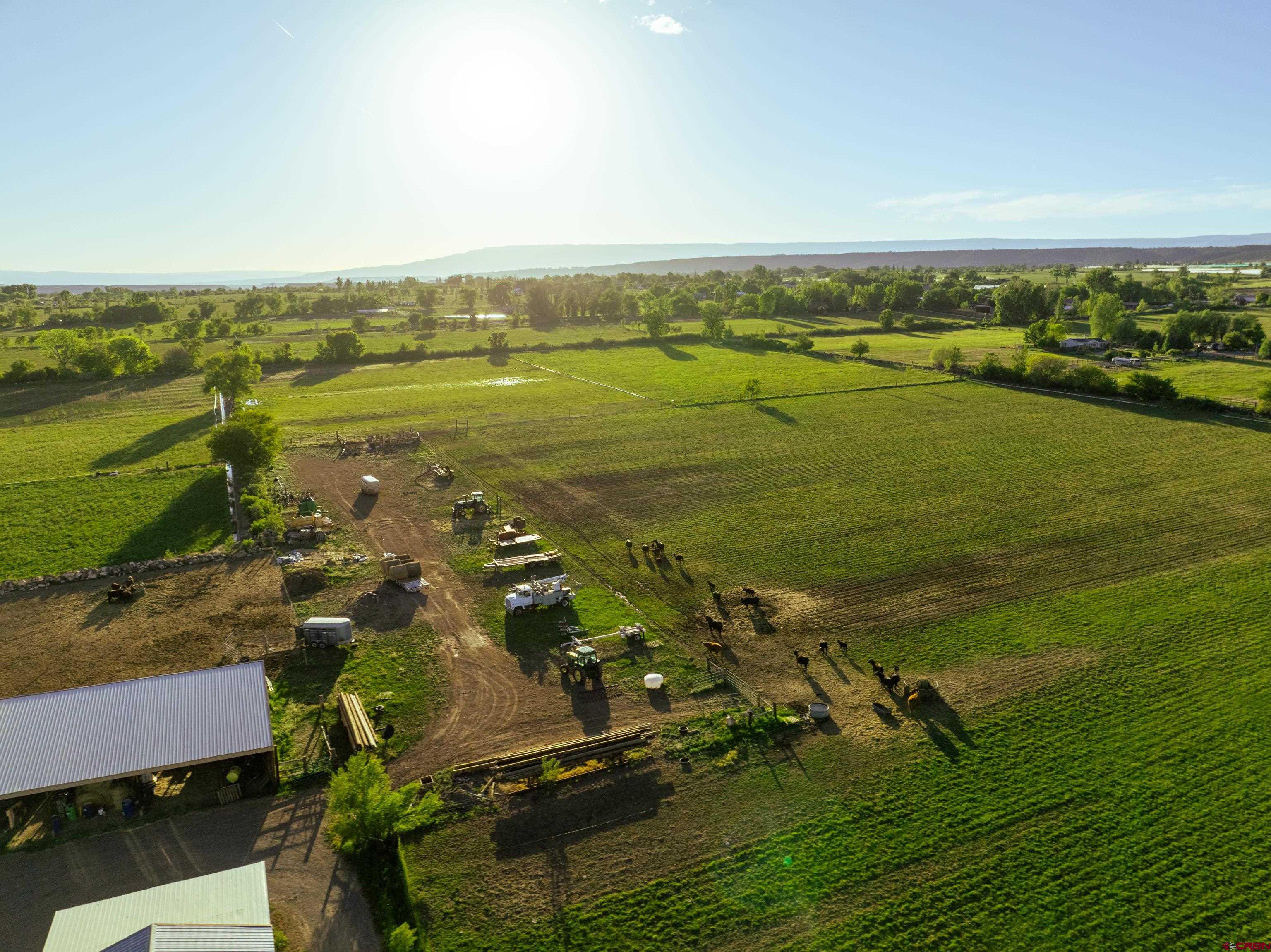 9627 3200th Road Hotchkiss, CO 81419 - Photo 13 of 44