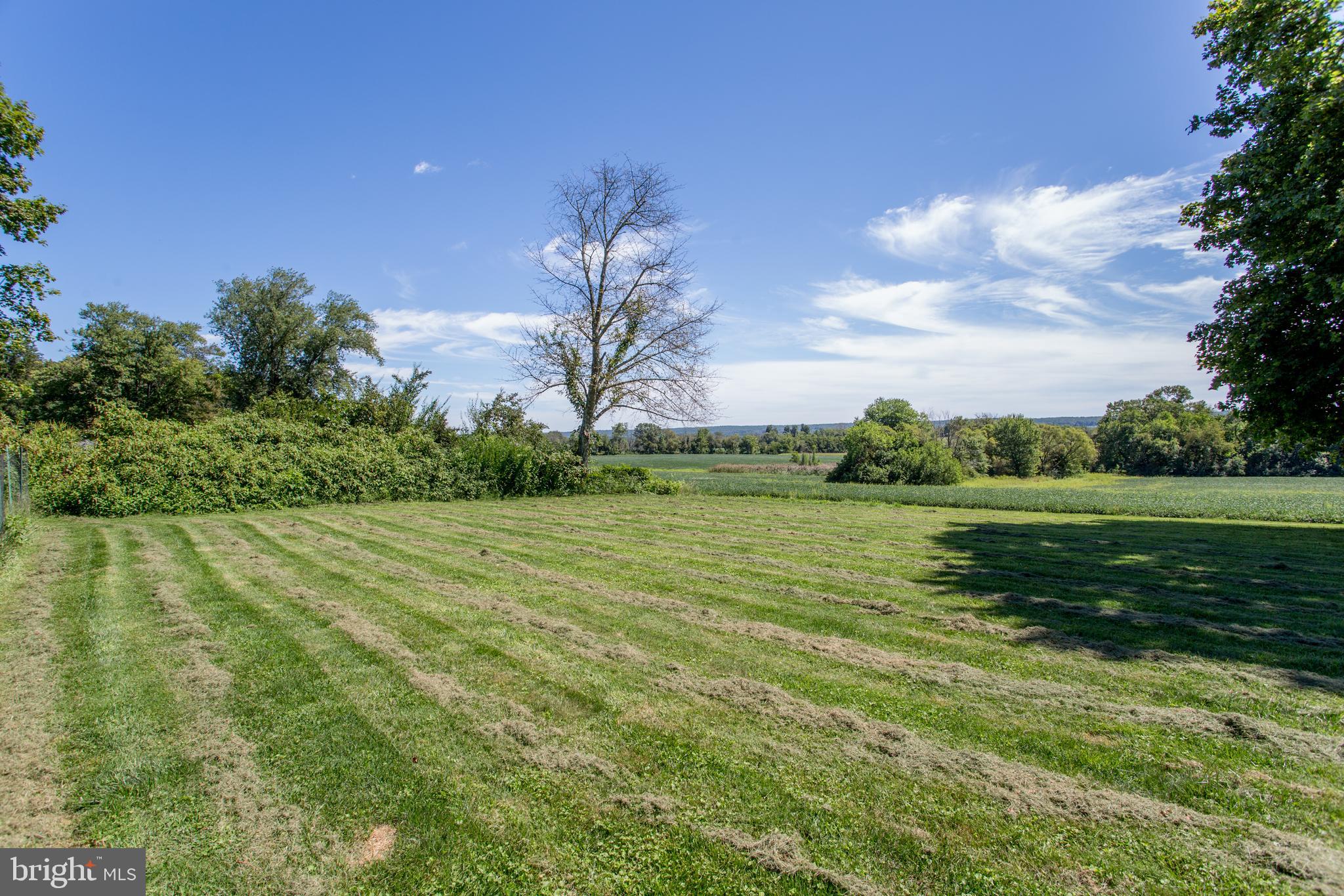 8 Old York Road Ringoes, NJ 08551 - Photo 12 of 55 Gallery Image 12