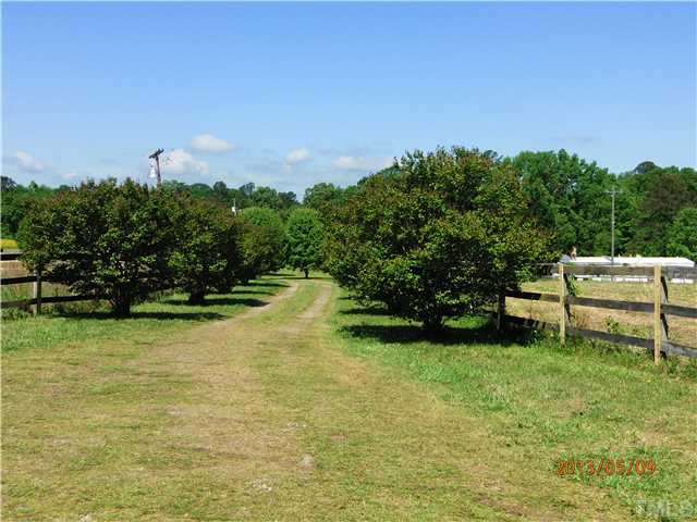 8724 Flower Hill Road Middlesex, NC 27557 - Photo 10 of 25
