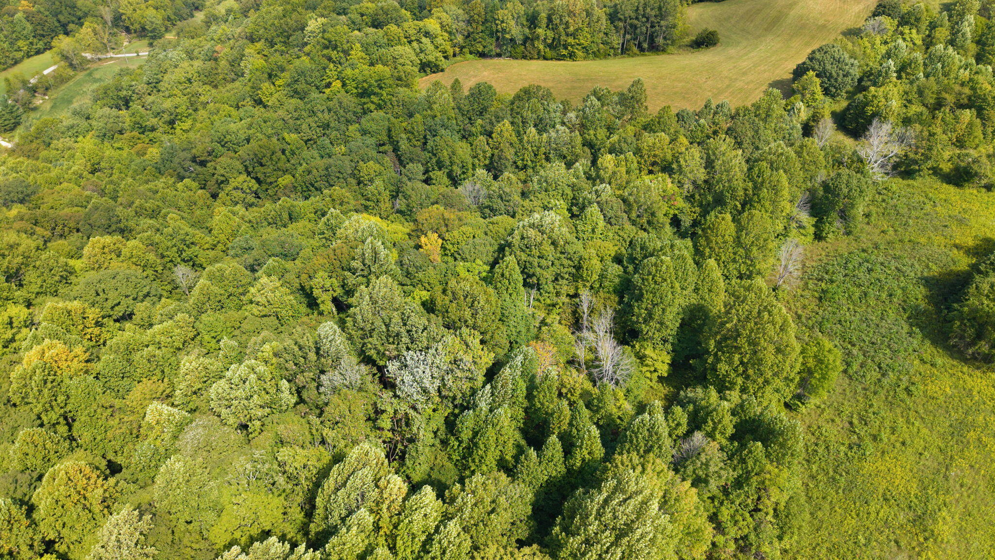 7 Snow Road Kings Mountain, KY 40442 - Photo 9 of 12 7 Snow Rd, Middleburg, KY