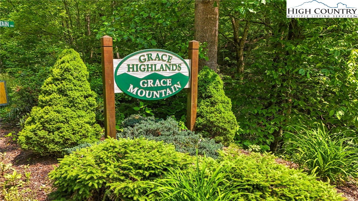 T-1 Grace Mountain Road Todd, NC 28684 - Photo 4 of 28