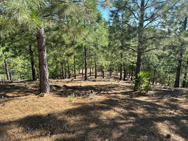 $299,000 | 0 Sheep Ranch Road, Murphys, CA 95247