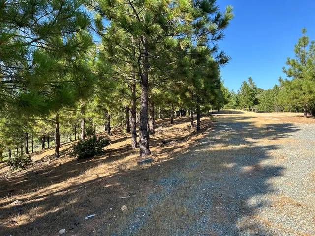 $299,000 | 0 Sheep Ranch Road, Murphys, CA 95247