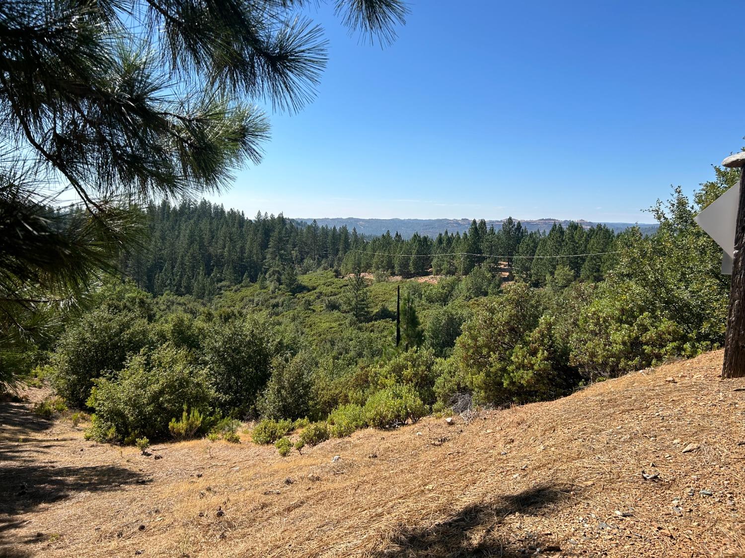 0 Sheep Ranch Road Murphys, CA 95247 - Photo 14 of 51