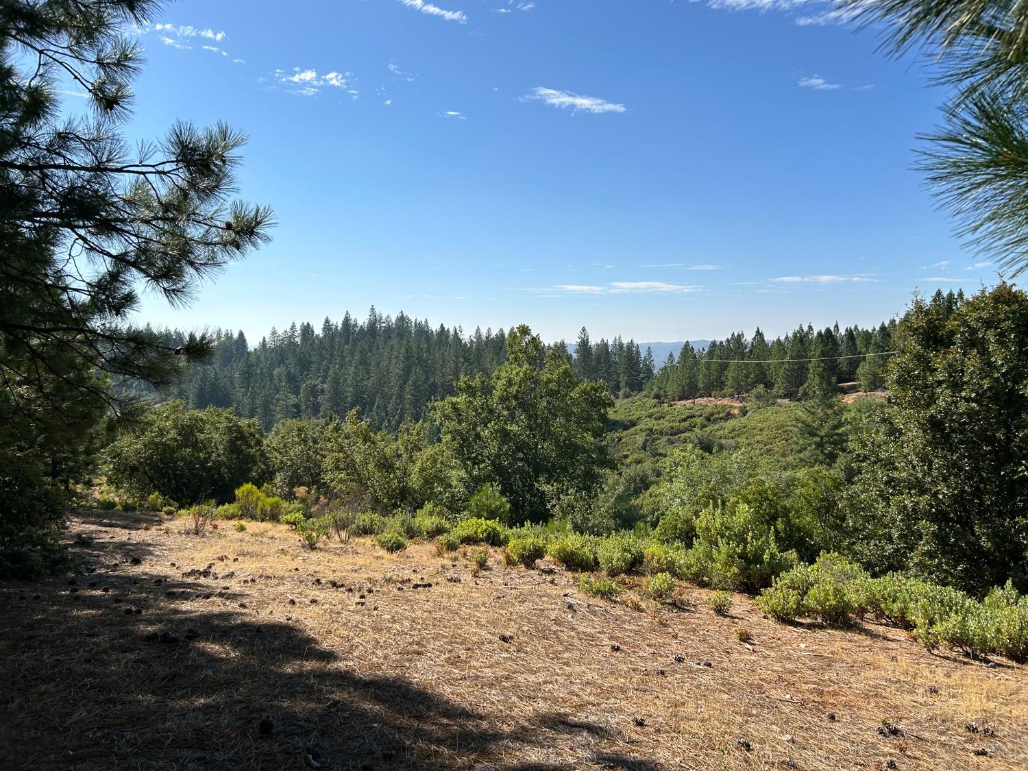 0 Sheep Ranch Road Murphys, CA 95247 - Photo 15 of 51