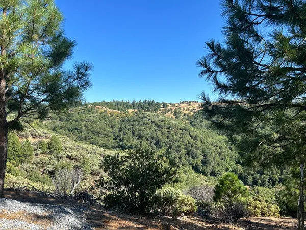 a view of water with trees in the background