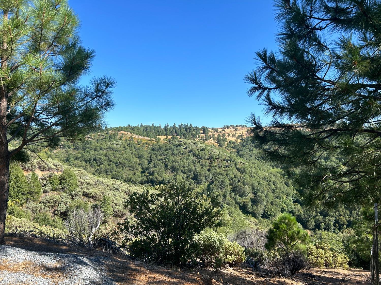 0 Sheep Ranch Road Murphys, CA 95247 - Photo 16 of 51