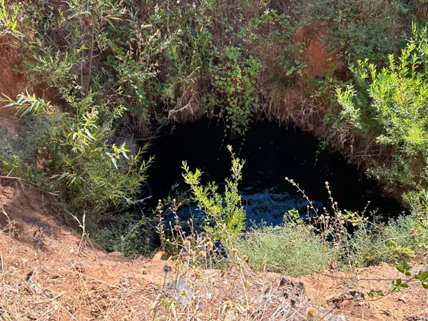 a view of outdoor space and covered with trees