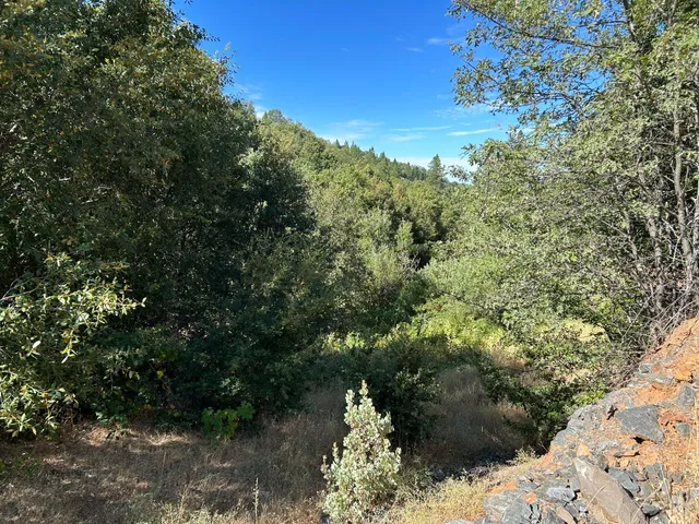 $299,000 | 0 Sheep Ranch Road, Murphys, CA 95247