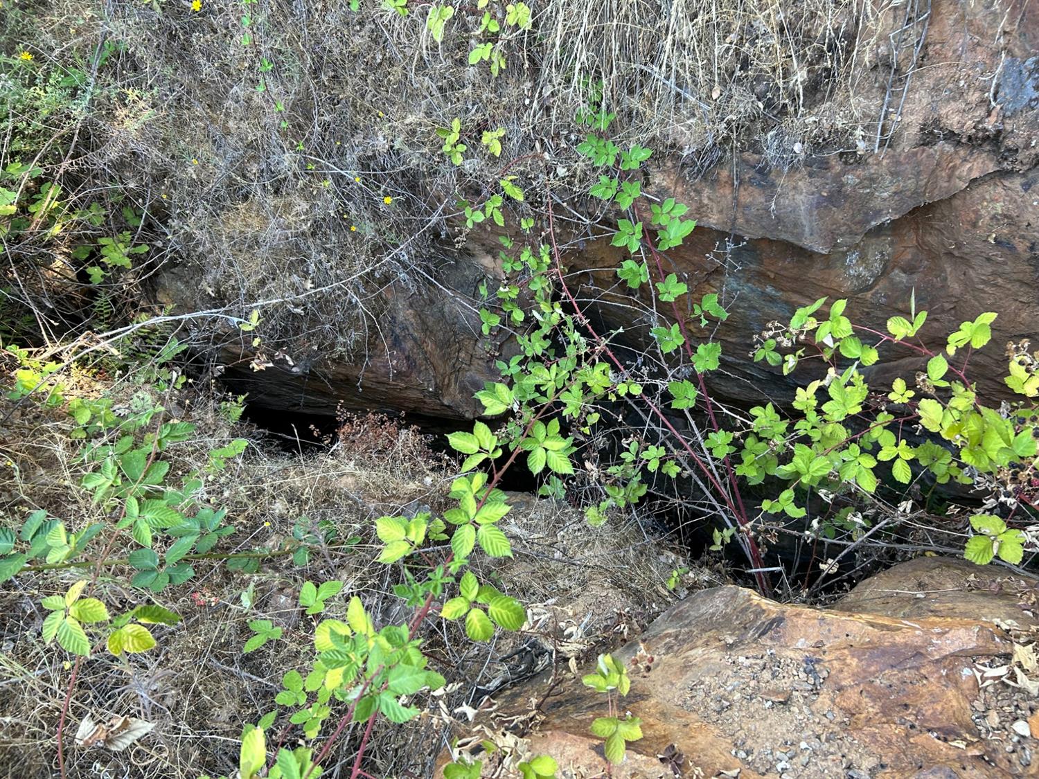 0 Sheep Ranch Road Murphys, CA 95247 - Photo 23 of 51