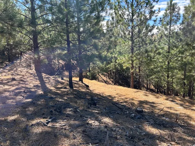 $299,000 | 0 Sheep Ranch Road, Murphys, CA 95247