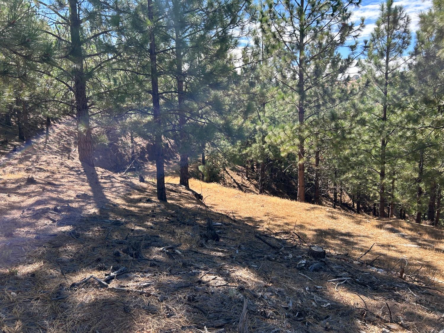 0 Sheep Ranch Road Murphys, CA 95247 - Photo 25 of 51