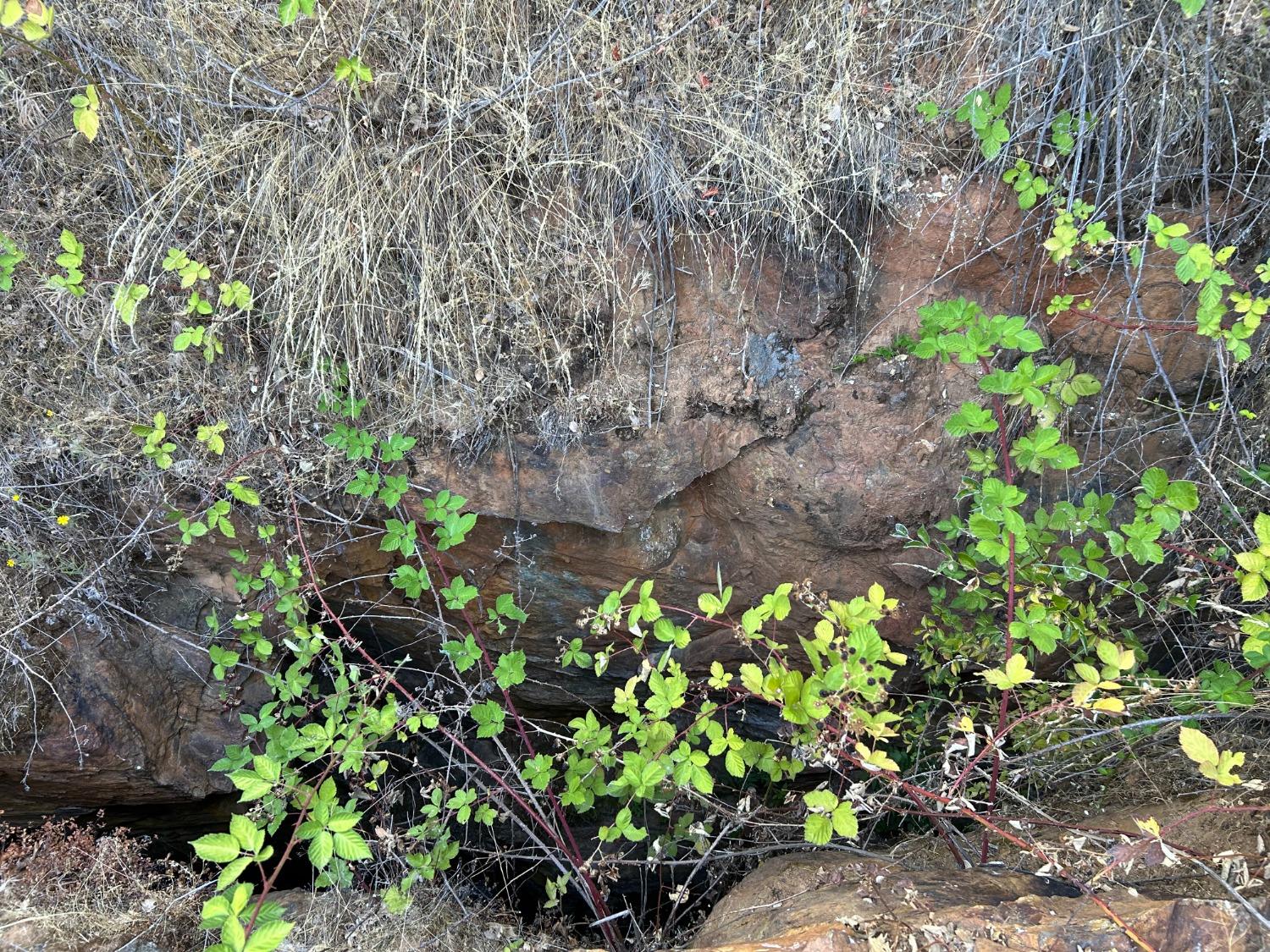 0 Sheep Ranch Road Murphys, CA 95247 - Photo 26 of 51