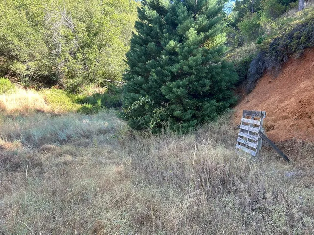 $299,000 | 0 Sheep Ranch Road, Murphys, CA 95247