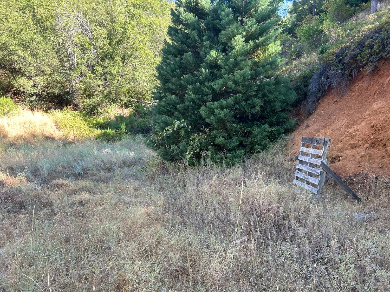 0 Sheep Ranch Road Murphys, CA 95247 - Photo 28 of 51