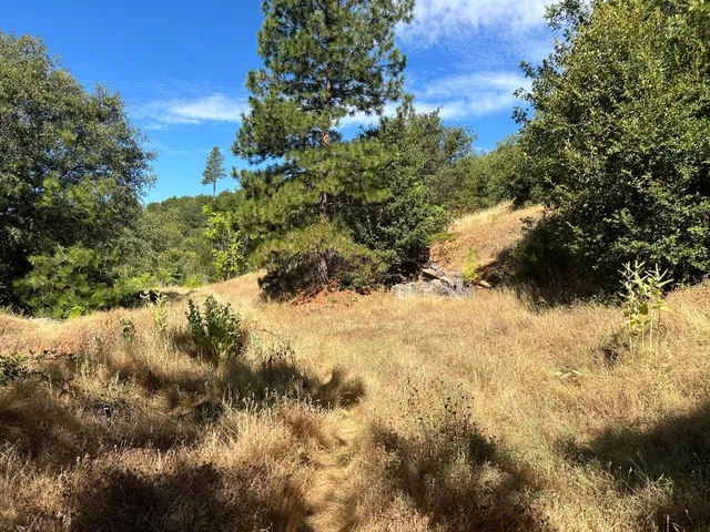 $299,000 | 0 Sheep Ranch Road, Murphys, CA 95247