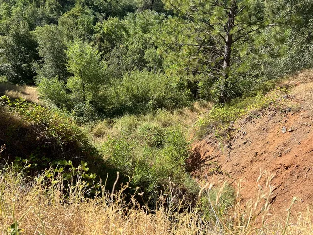 $299,000 | 0 Sheep Ranch Road, Murphys, CA 95247