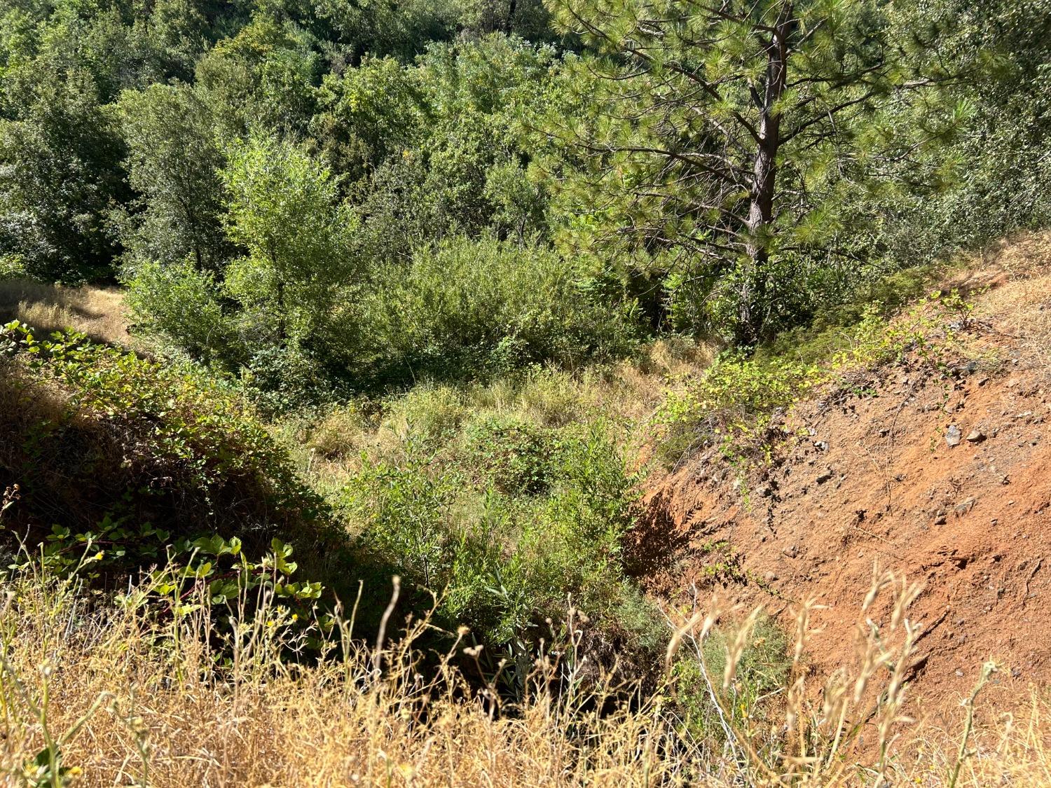 0 Sheep Ranch Road Murphys, CA 95247 - Photo 30 of 51