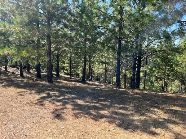 a view of road with trees