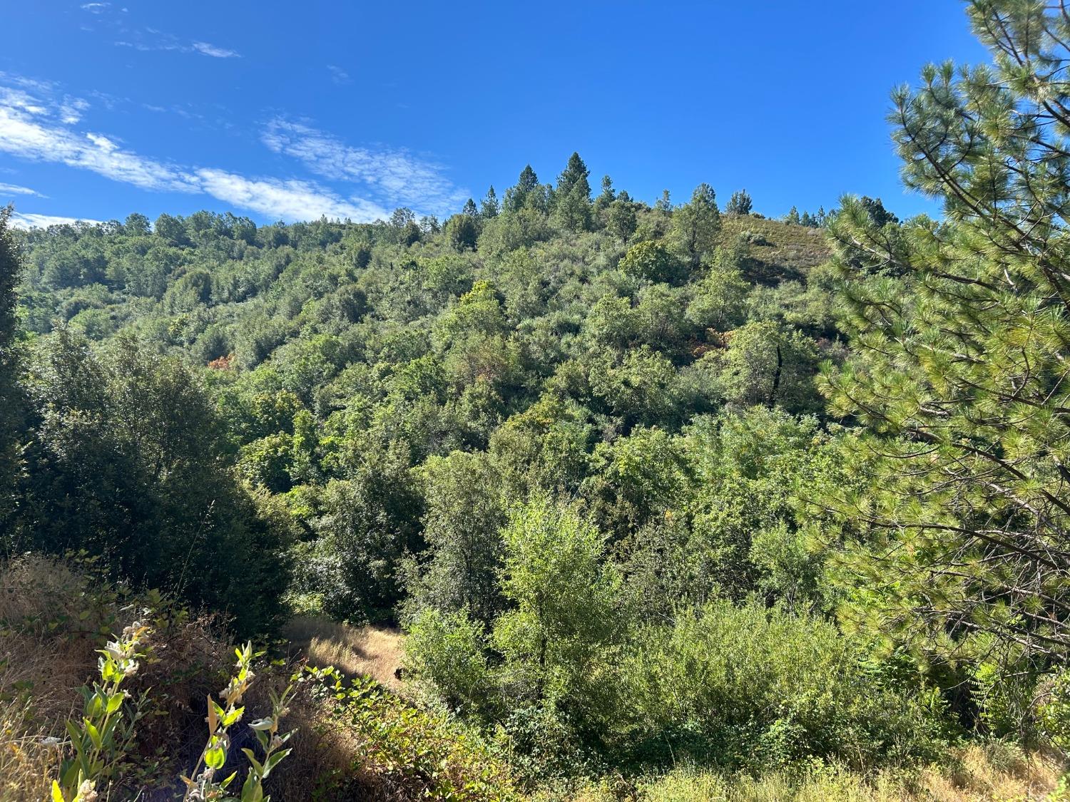 0 Sheep Ranch Road Murphys, CA 95247 - Photo 31 of 51