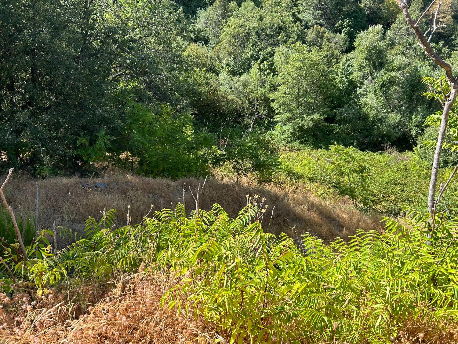 0 Sheep Ranch Road Murphys, CA 95247 - Photo 32 of 51