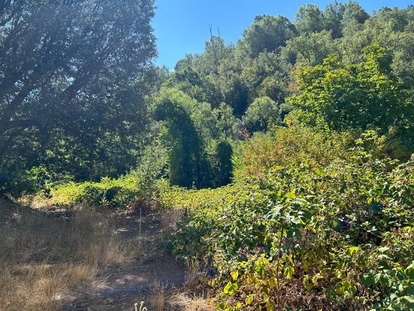 a view of a yard with a lake view