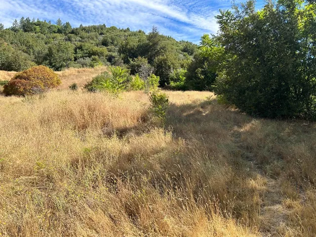 $299,000 | 0 Sheep Ranch Road, Murphys, CA 95247