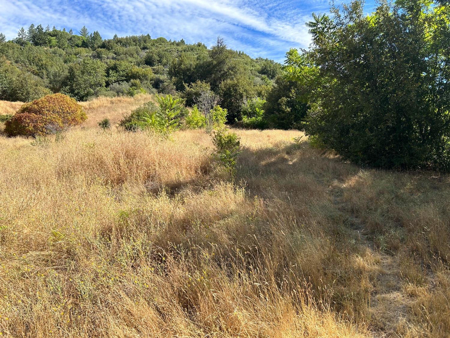 0 Sheep Ranch Road Murphys, CA 95247 - Photo 35 of 51