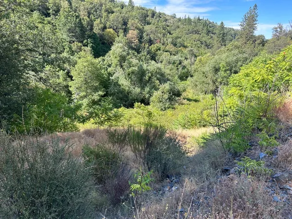 a view of a green field