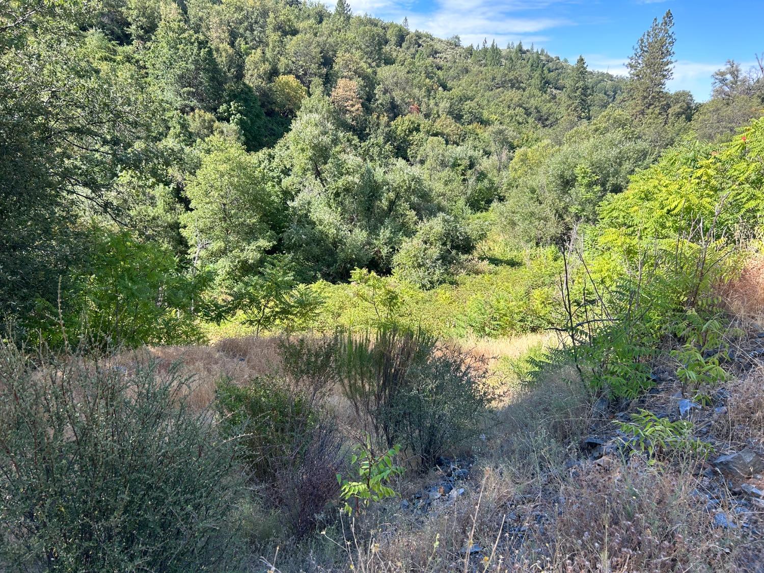 0 Sheep Ranch Road Murphys, CA 95247 - Photo 37 of 51