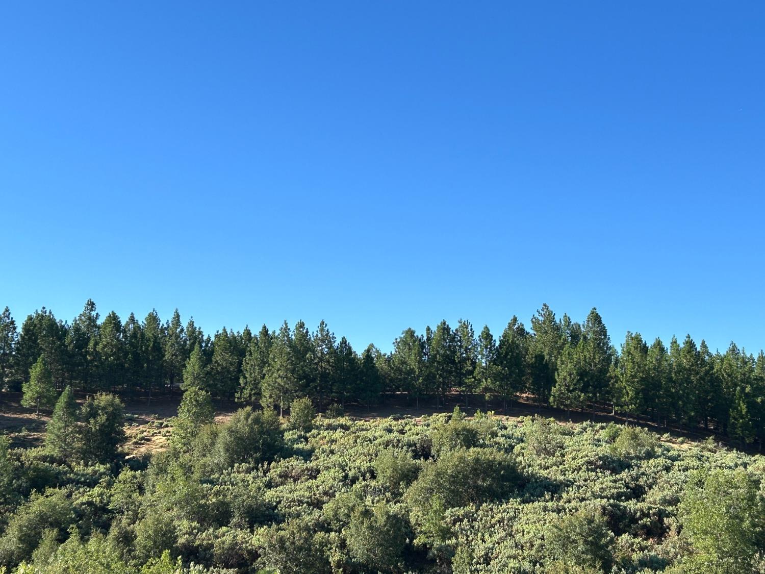 0 Sheep Ranch Road Murphys, CA 95247 - Photo 38 of 51