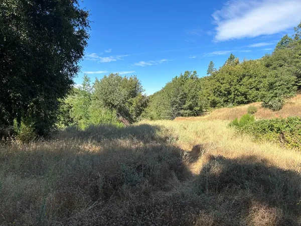 a view of a backyard of a house