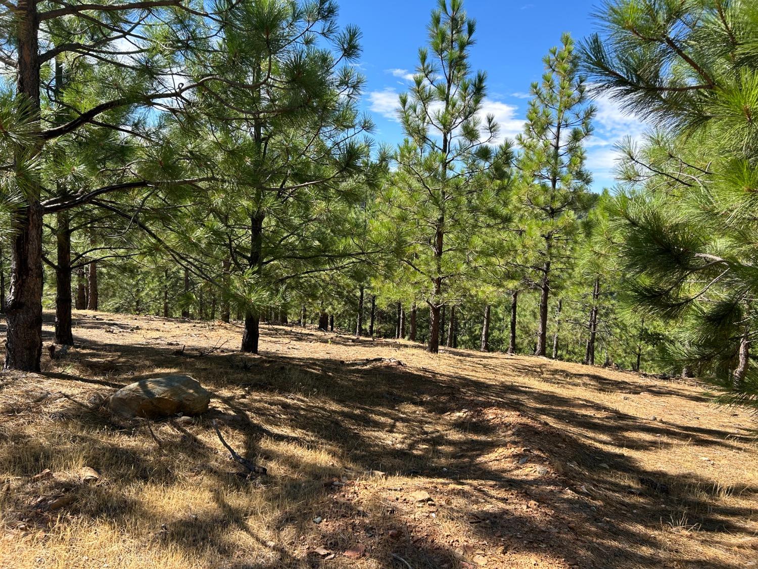 0 Sheep Ranch Road Murphys, CA 95247 - Photo 40 of 51